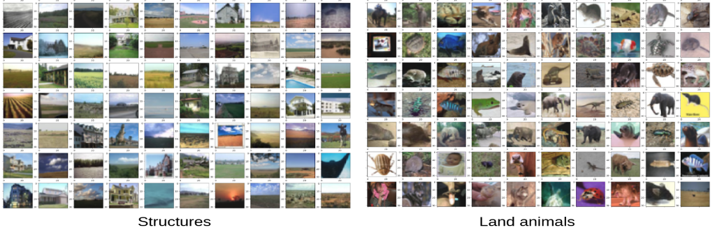 Unseen Object Reasoning with Shared Appearance Cues